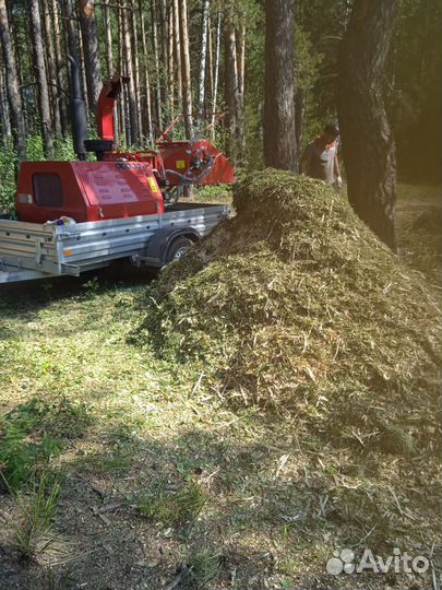 Измельчитель веток аренда