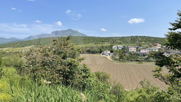 Участок 6,5 сот. (ИЖС)