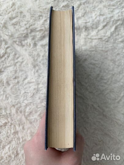 Достоевский Сборник статей 1861-1881 года