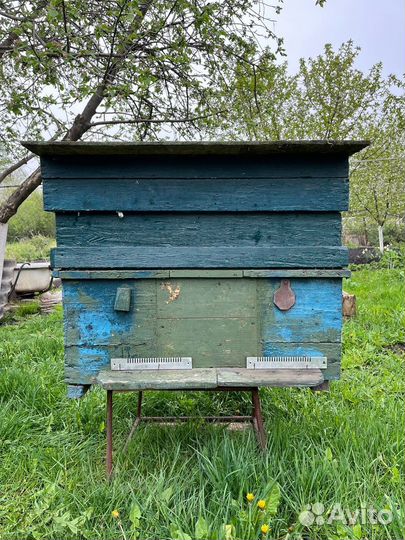 Улей лежак, рамки