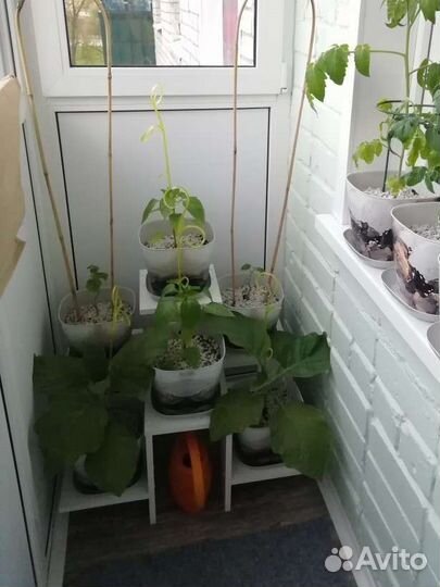 Подставка для цветов