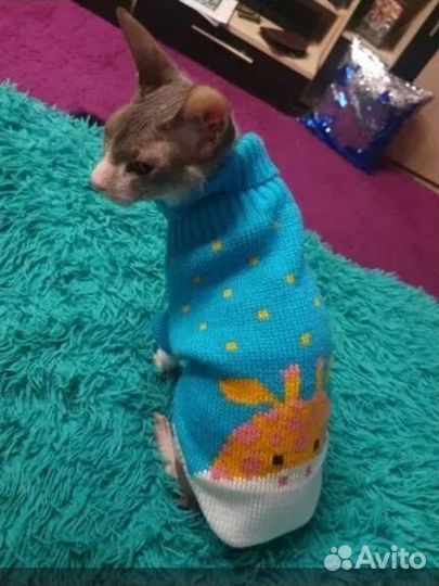 Свитерок для кошек или маленьких собак