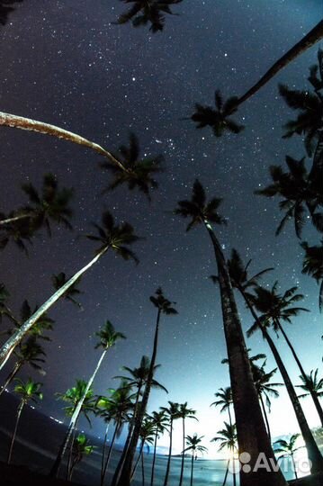 Фотоаппарат nikon d5200 комплект