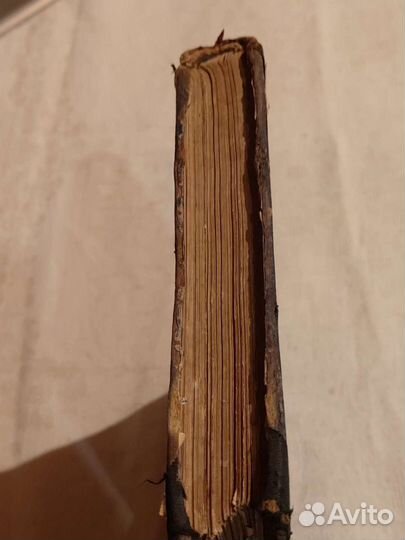 Замечательные и Загадочные личности 1893 год