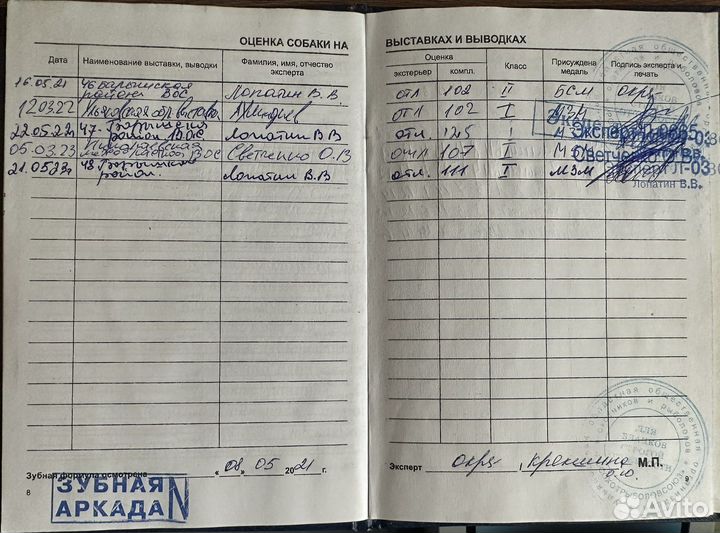 Вязка рел