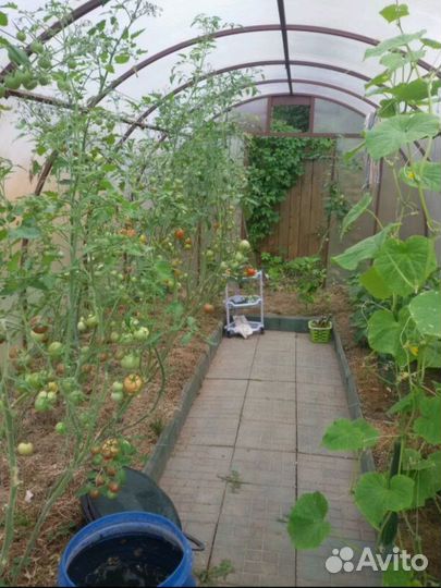 Каркас теплицы 3х6 метров