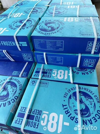 Креветки в ассортименте опт