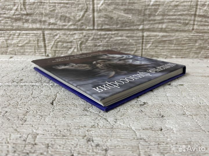 Кошачья философия. Мудрость жизни