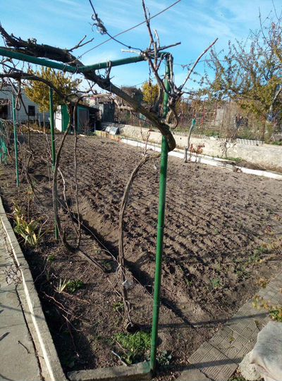 Дача 20 м² на участке 8 сот.