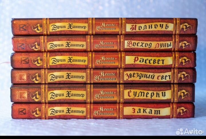 Коты-воители, 2-й цикл