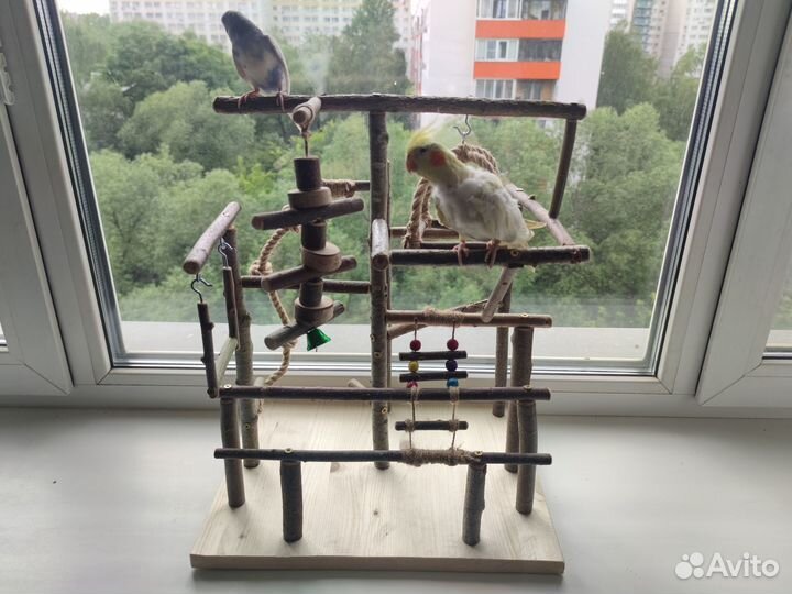Игровой стенд, площадка для попугаев