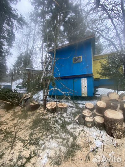 Спил валка удаление рубка обрезка деревьев