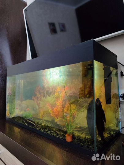 Аквариум