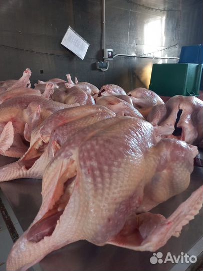 Домашнее мясо индюков от Иды Индейкиной