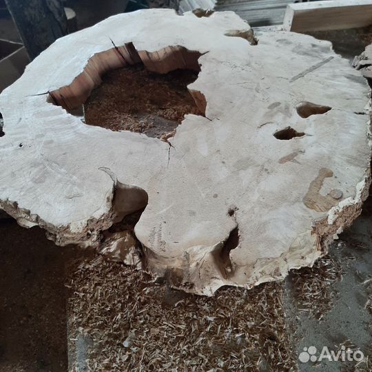 Спилы карагача