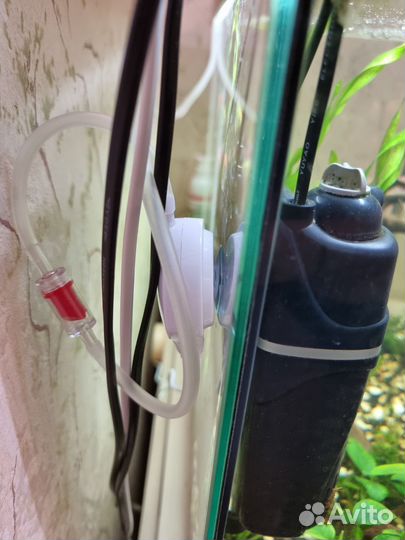 Аквариум с рыбами