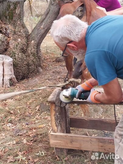 Расчистка копыт