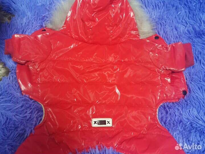 Куртка зимняя для собачки