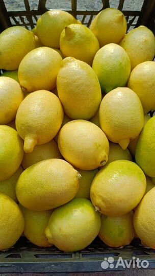 Лимоны