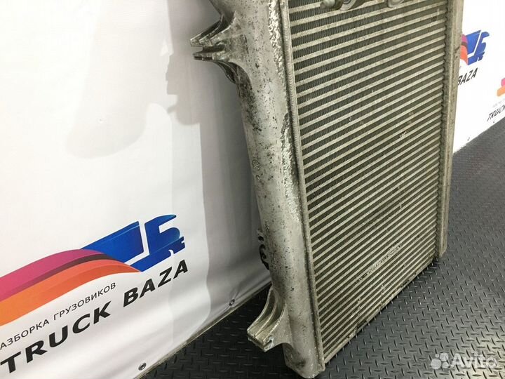 Интеркулер Daf XF105