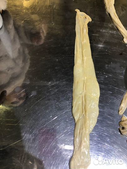 Синюга баранья