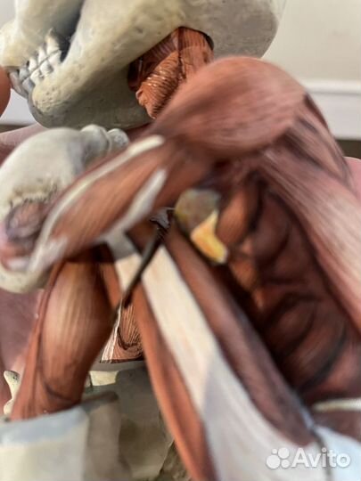 Gummy Keiko:Sweet of the Dead Fools Paradise