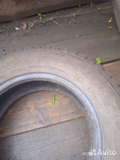 Forward Arctic 710 175/70 R13