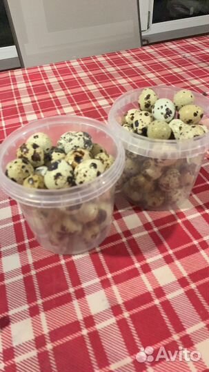 Козье молоко