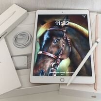 iPad 8 поколения Pencil+Procreat