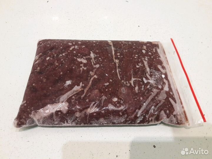 Корма для аквариумных рыб Артемия