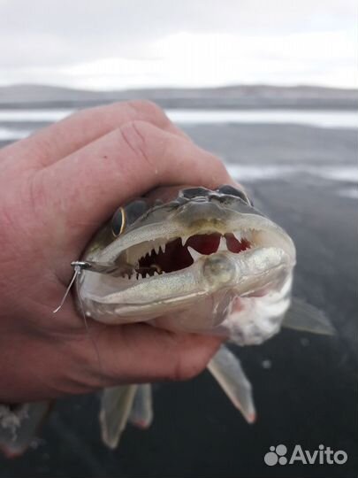 Блесна гладкая