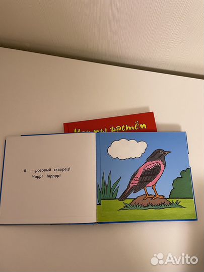 Развивающие книги, рабочие тетради