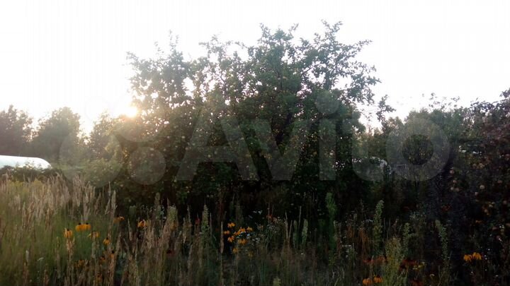 Участок 7 сот. (СНТ, ДНП)