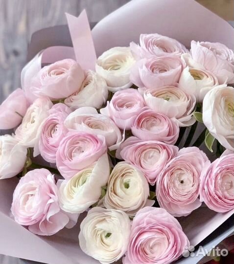 Ранункулюс цветы