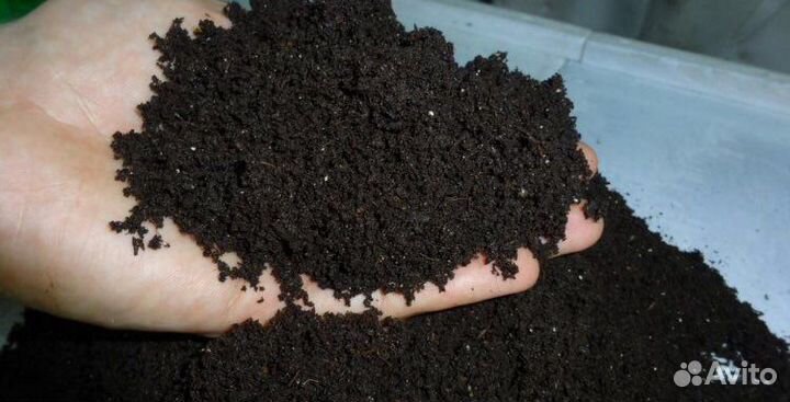 Чернозем. Перегной