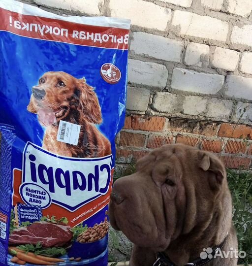 Корм для собак chappi 15 кг