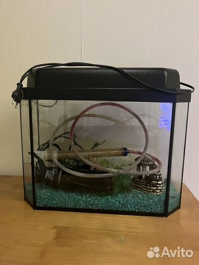 Аквариум