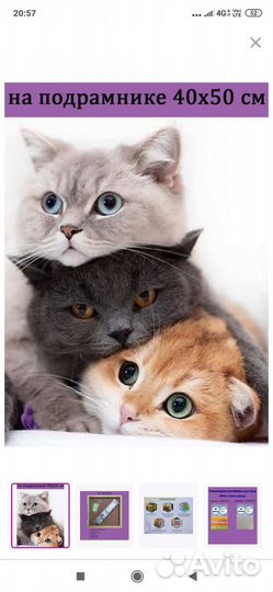 Алмазная мозаика 40х50 на подрамнике подарок