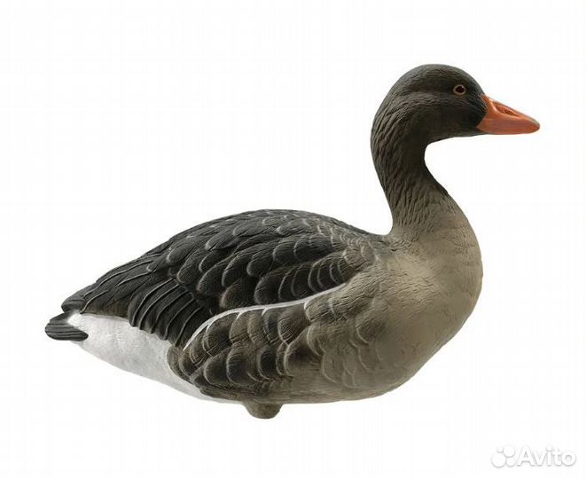Гусь серый Final Approach