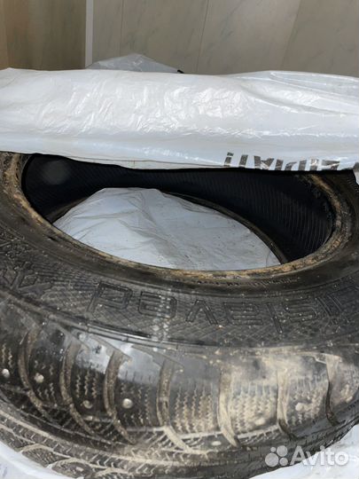 Gislaved Nord Frost 5 185/65 R15