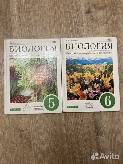 Биология Ботаника 5-6 класс