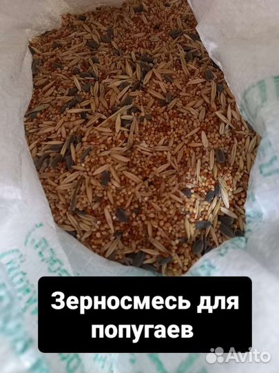 Корм для домашних животных