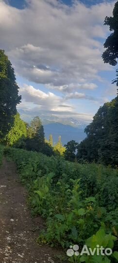 Такси по месту и краю