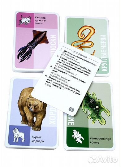 Игра-викторина 