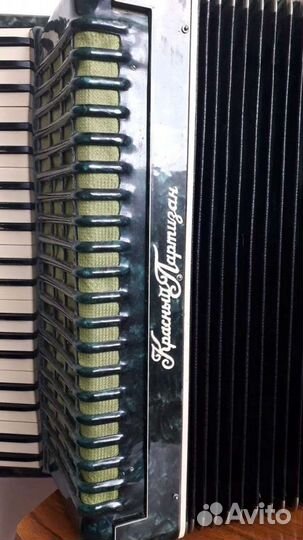 Аккордеоны