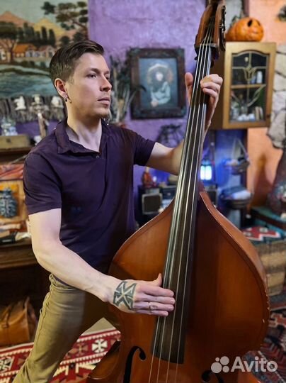 Контрабас