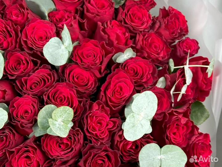 Букет Розы 21 / 31 / 51 розы крупные