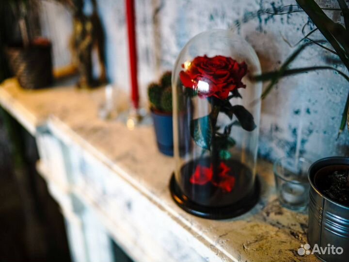 Роза в колбе Deluxe Красная