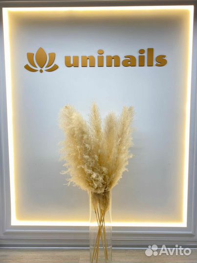 Администратор бровист