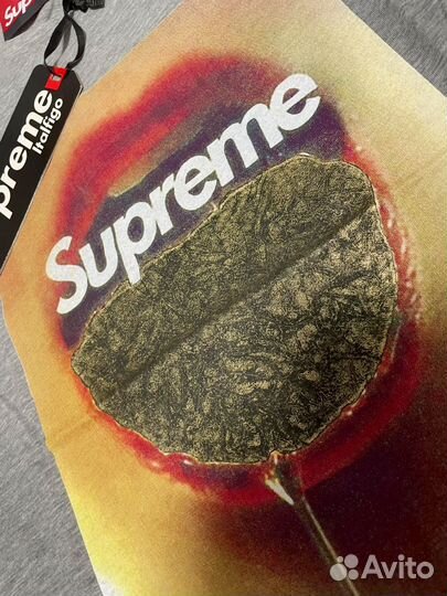 Футболка мужская Supreme (size: S)